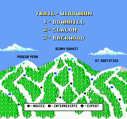 Heavy Shreddin' screenshot 4 for NES